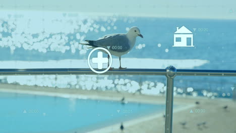 seagull perched on railing over medical animation with beach and ocean background