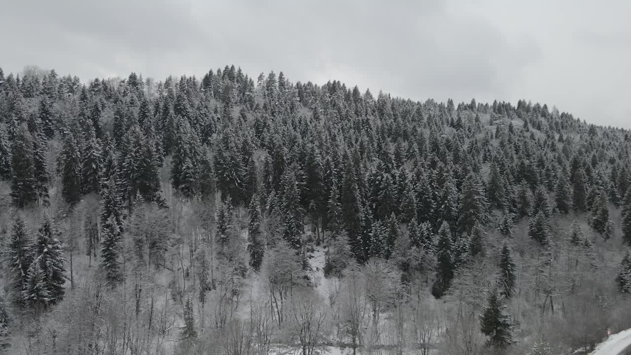 눈 인 숲을 가로질러 휘어지는 하천을 특징으로 한 평화로운 겨울 장면의 드론, 계절의 아름다움을 보여줍니다.