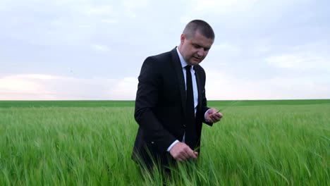 businessman in a wheat field