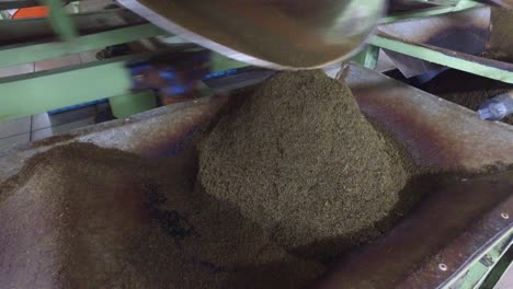 machine pouring dry tea raw to container