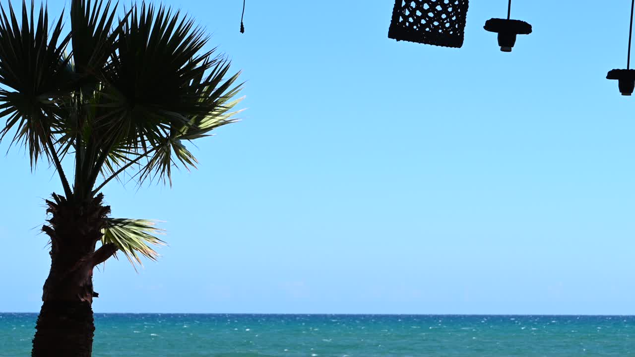 A palm tree against a vivid blue sky and turquoise sea horizon in Larnaca, Cyprus
