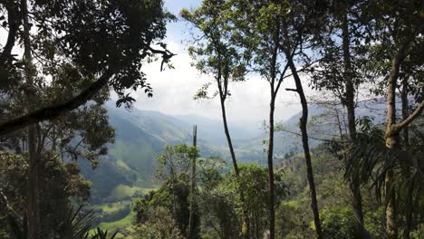 Establishing-Cocora-valley-in-Colombia,-countryside-with-green-landscape