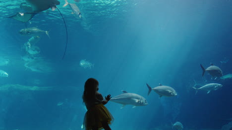 little girl in aquarium looking at stingray swimming in tank curious child watching marine animals in oceanarium having fun learning about sea life in aquatic habitat