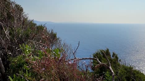Mar-Mediterráneo-Y-Vegetación-De-Acantilados-En-Sardaigna