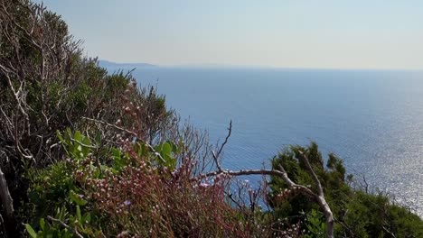 mar mediterráneo y vegetación de los acantilados de cerdeña