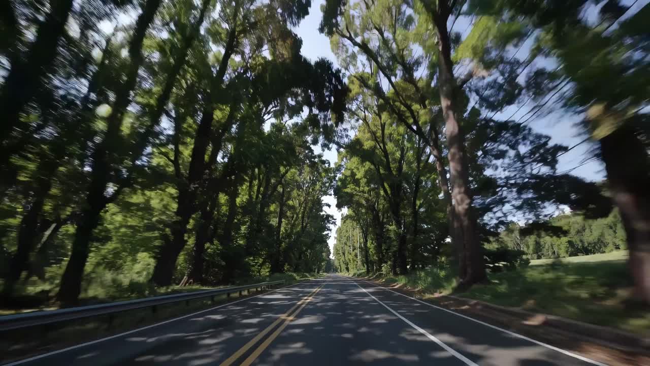 Un video suggestivo cattura una strada alberata da una prospettiva ad angolazione bassa, creando un effetto tunnel.