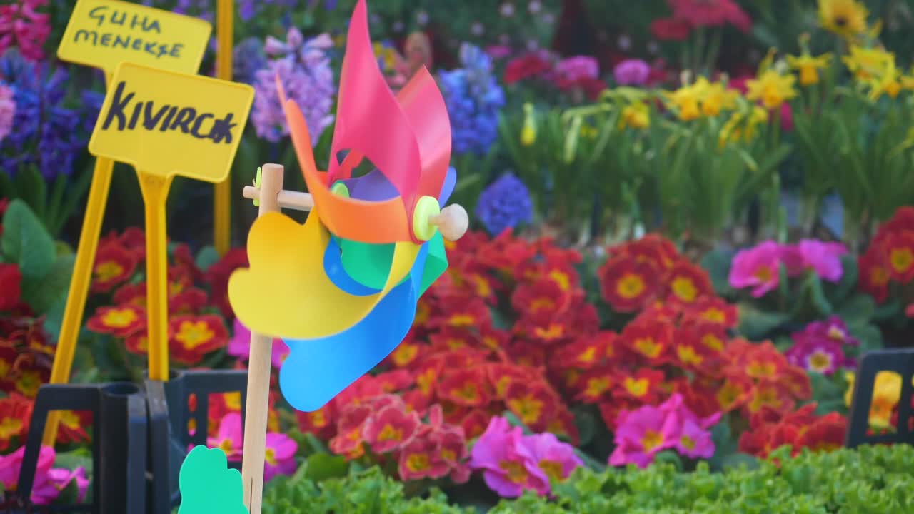 Colorful Windmill and Flowers at a Flower Market