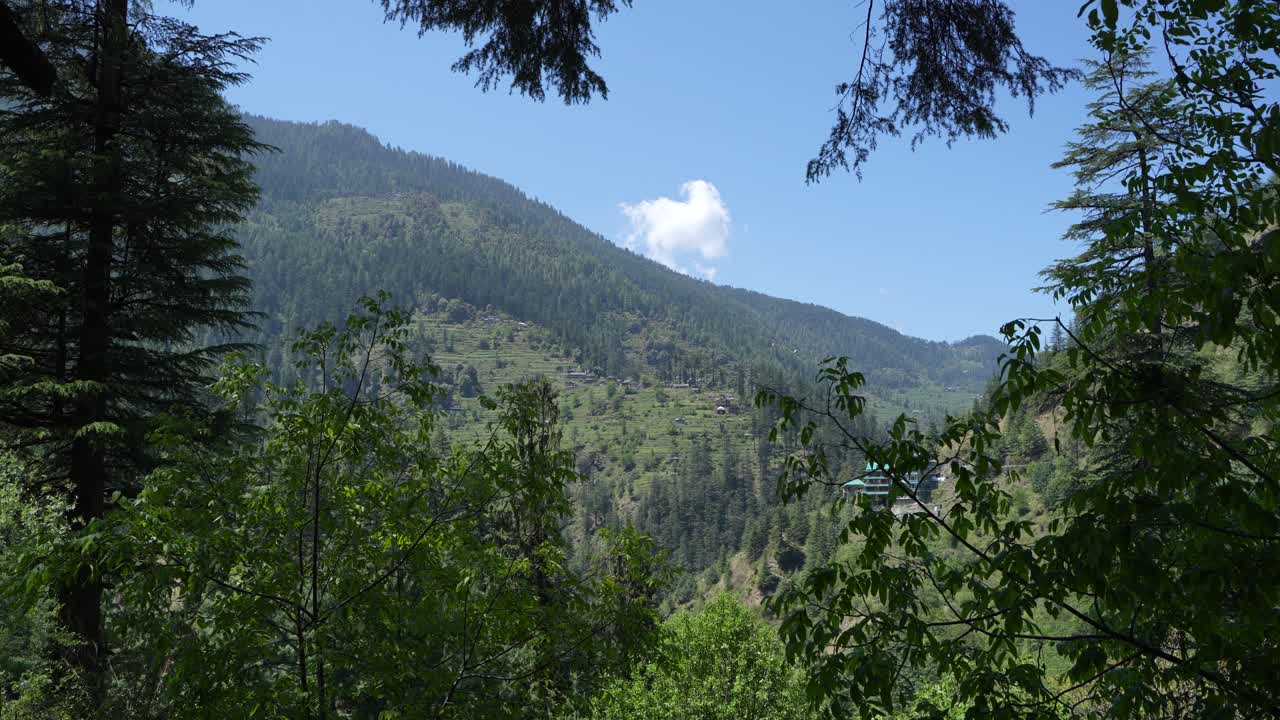 Plants, houses and natural diversity of the mountainous region.