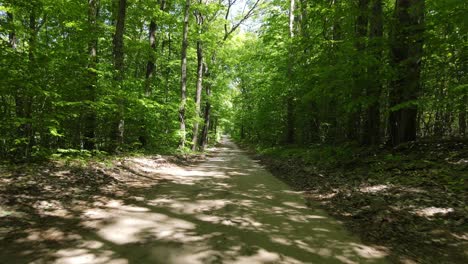 dirt road leading through dense forest on bright sunny day, dolly forward view