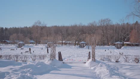 snowy winter park with wooden cabins