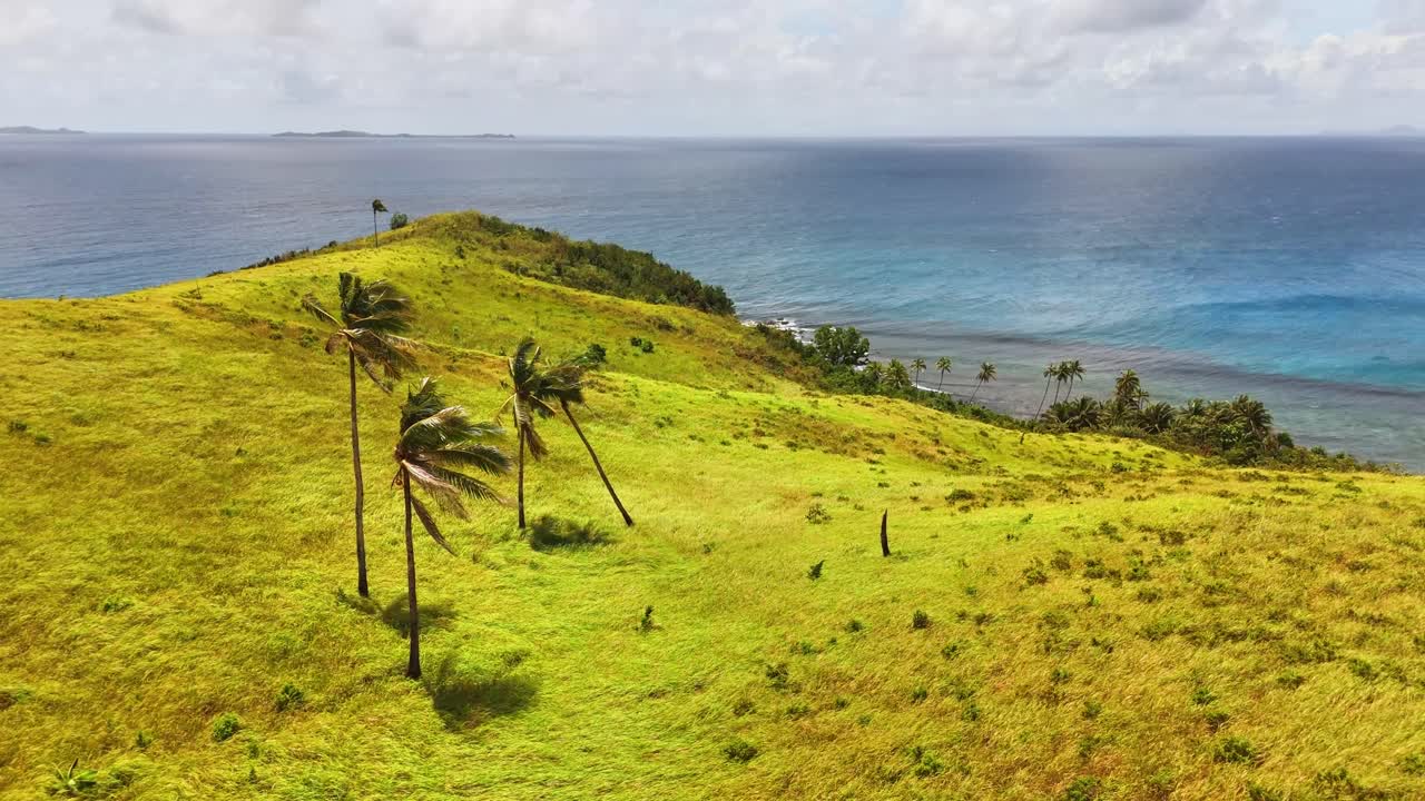 Static aerial shot of Corregidor Island in Siargao, Philippines with swaying palm trees, rolling yellow-green hills, and a deep blue ocean fading into distant islets