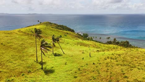 static aerial shot of corregidor island in siargao, philippines with swaying palm trees, rolling yellow-green hills, and a deep blue ocean fading into distant islets