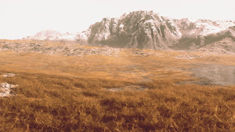 Plain-with-dried-grass-and-mountain-peaks-in-the-background