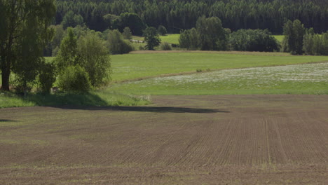 TWO-MONTH-TIMELAPSE-ZOOM-OUT-of-a-crop-field-springing-into-life