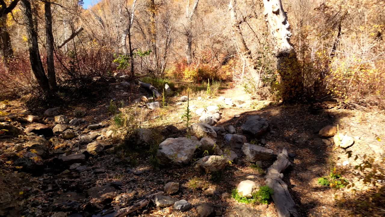 """아름다운 드론 촬영을 통해 날아, 계절을 위해 건조하는 강 바닥을 향해 이동, 당신은 나무와 땅에 잎의 모든 가을 가을 색을 볼 수 있습니다."