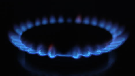 stove top blue flame isolated with a dark background