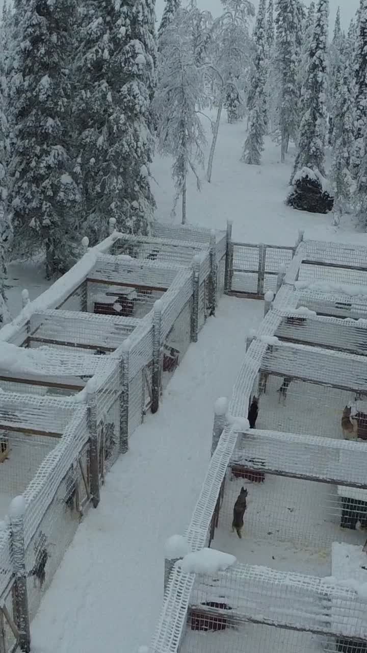 Winter scene with snow-covered kennels and trees