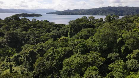 Eine-Rückwärts-Fliegende-Drohne-Enthüllt-Den-Lebhaften-Regenwald-Im-Norden-Costa-Ricas,-Der-An-Den-Größten-See-Des-Landes-Grenzt