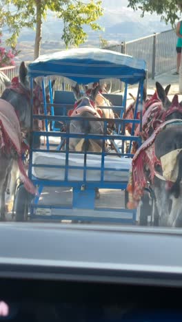 donkey cart in a european city