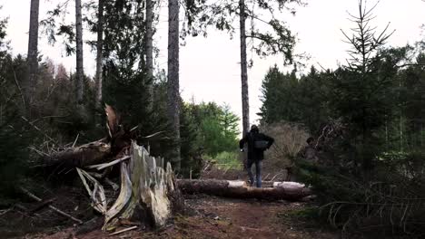 person hiking through damaged forest