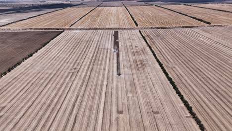 Explore-the-cutting-edge-machinery-and-precision-in-action-during-a-large-scale-lupin-harvesting-operation