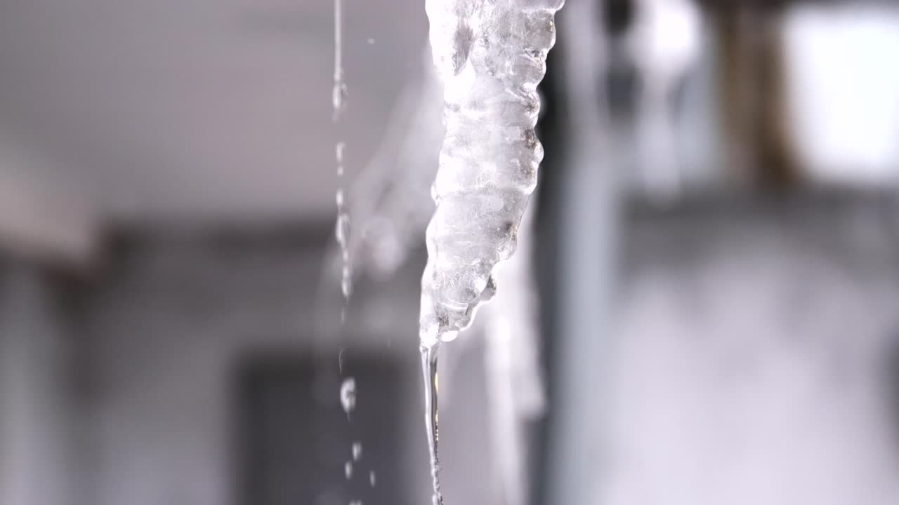 얼음 어리 클로즈업