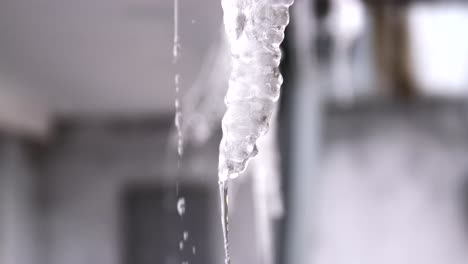 primer plano del hielo