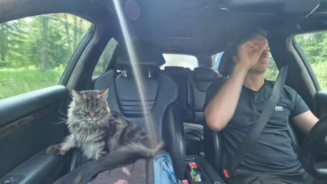 Timelapse-of-a-Caucasic-man-driving-his-car-with-a-cat-as-copilot-interior-view