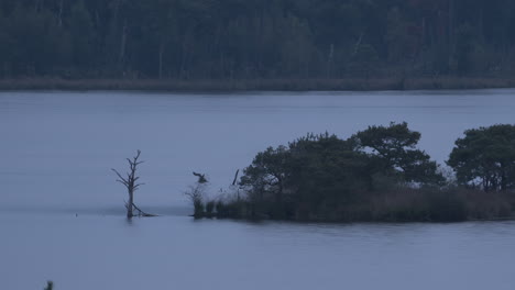 Massive-lake-in-Kalmthout-region-in-Belgium-on-foggy-day,-pan-right-view