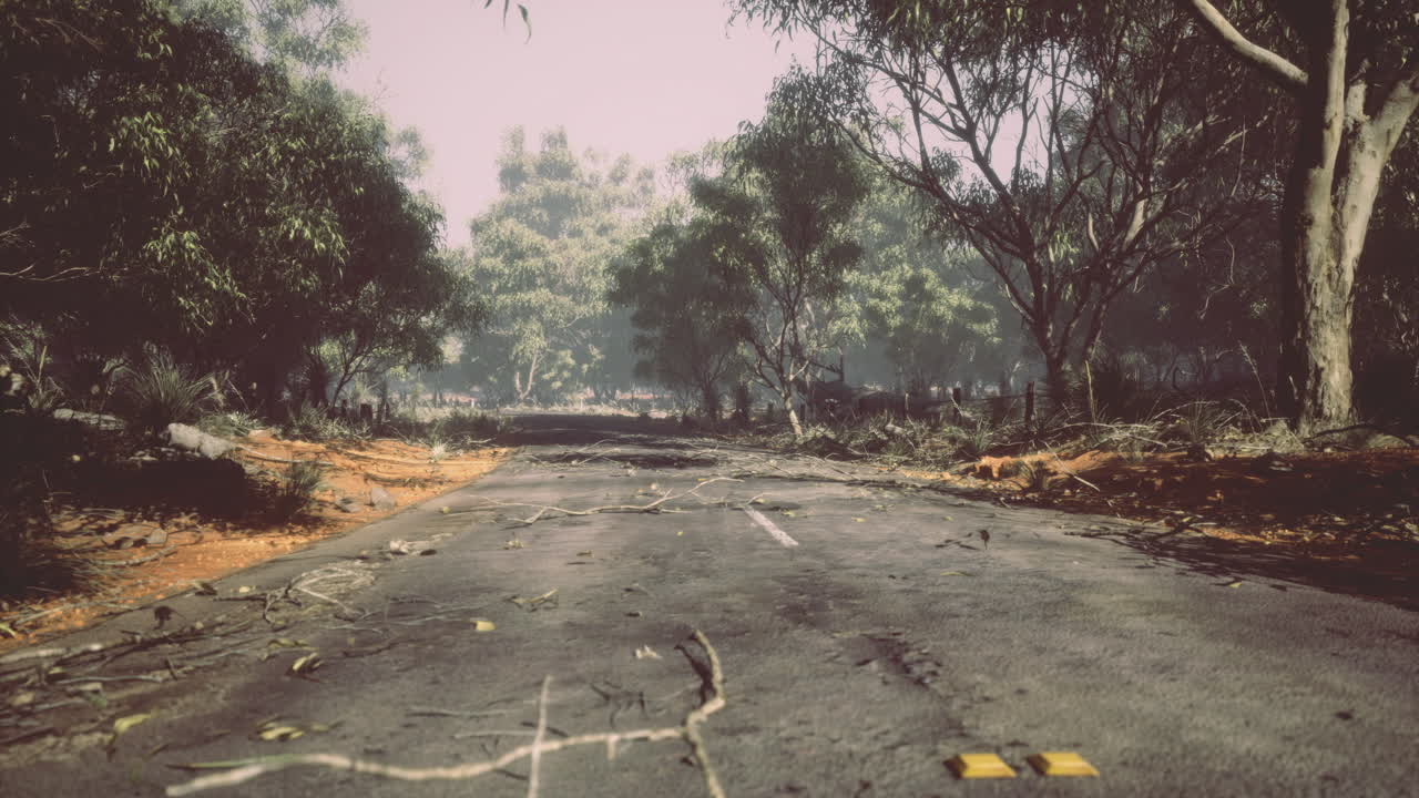 Abandoned road lined with trees after a storm in a serene landscape