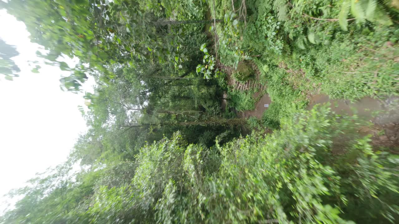 dron fpv vertical disparó a través de la jungla con una hermosa mujer rubia sentada en bikini en la naturaleza junto a la cascada manuaba