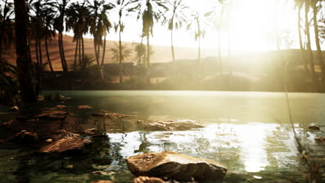 escena colorida con una palmera sobre un pequeño estanque en un oasis del desierto