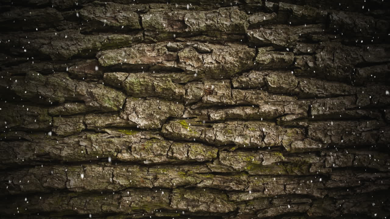 축제 크리스마스 시간