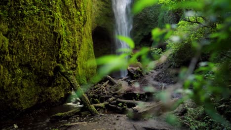 close up of brushes revealing mili mili waterfall streaming into natural pond surrounded by dense green vegetation, coñaripe, chile