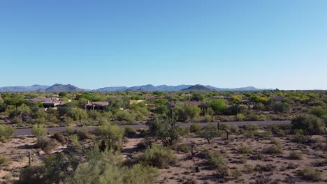 casas en el desierto durante el amanecer caliente y seco con cactus y flora del desierto