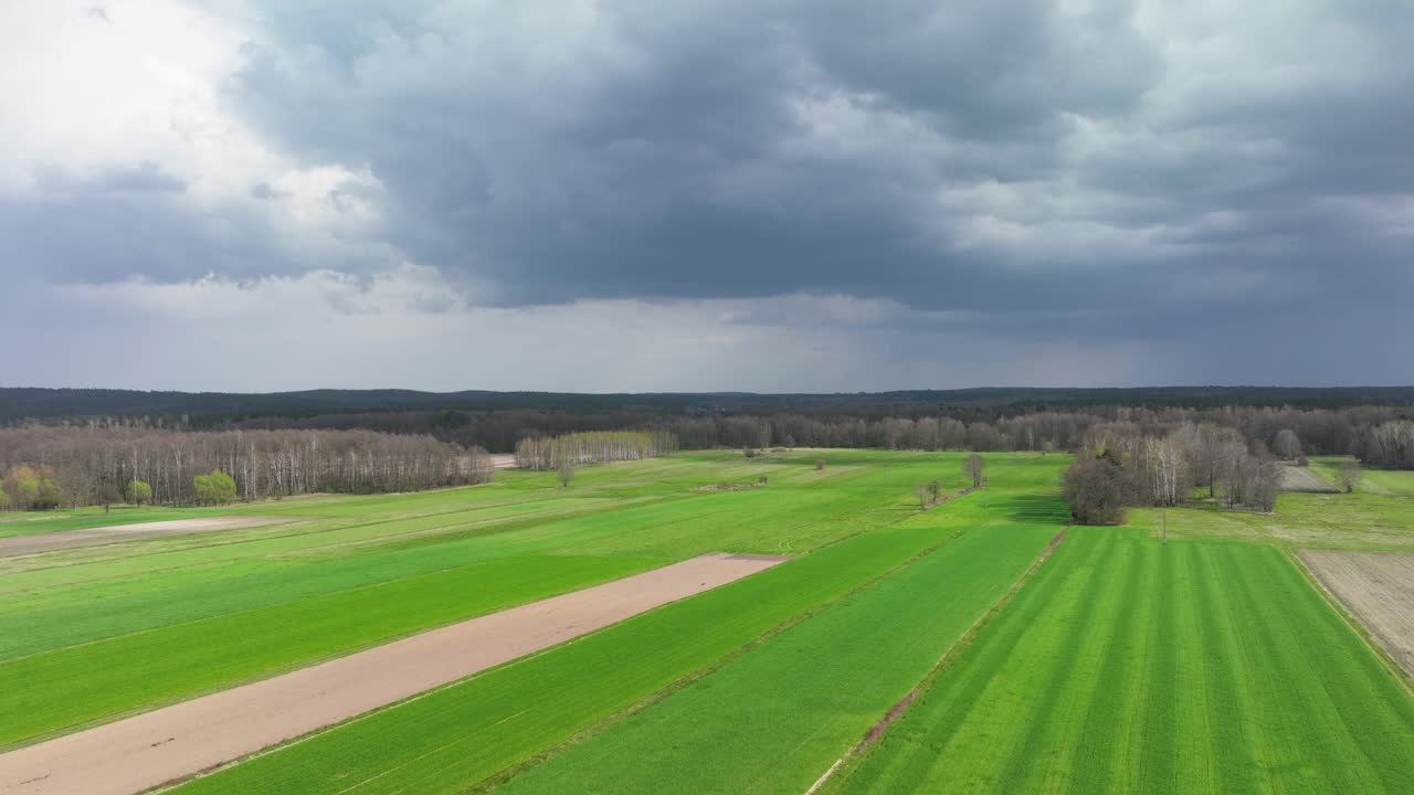 time lapse of storm approaching in the countryside with rye field plantation