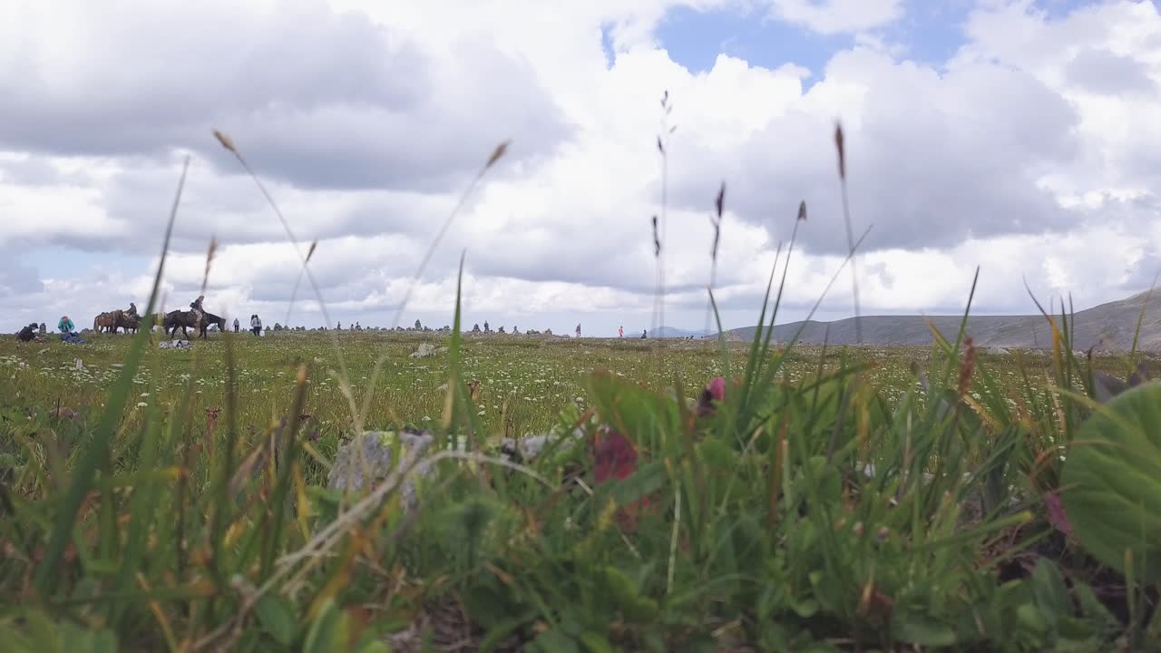 personas a caballo en un prado de montaña