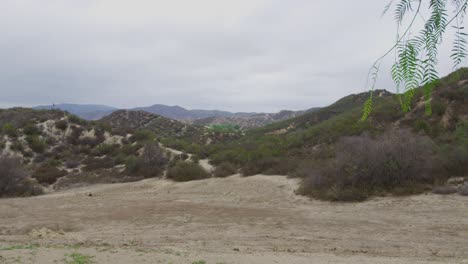 Sandige-Landschaft,-Aufgenommen-In-Kalifornien,-Mit-Einem-Baumblatt-Im-Vordergrund