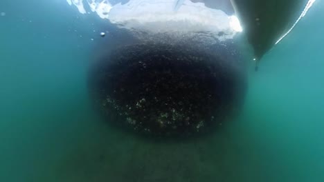 vista bajo el agua del puente de coronado, insta360