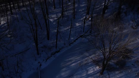 Fliegen-Mit-Weißkopfseeadler-Winter