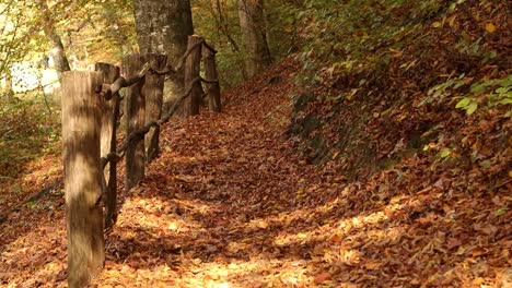 Hermoso-Camino-En-El-Parque-Para-Personas-Cubiertas-De-Hojas-De-Otoño-Junto-A-Una-Vieja-Valla-En-Ruinas