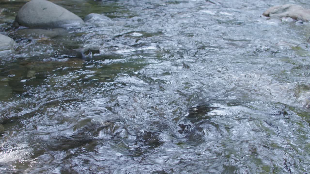 팬이 있는 하류의 산 시내