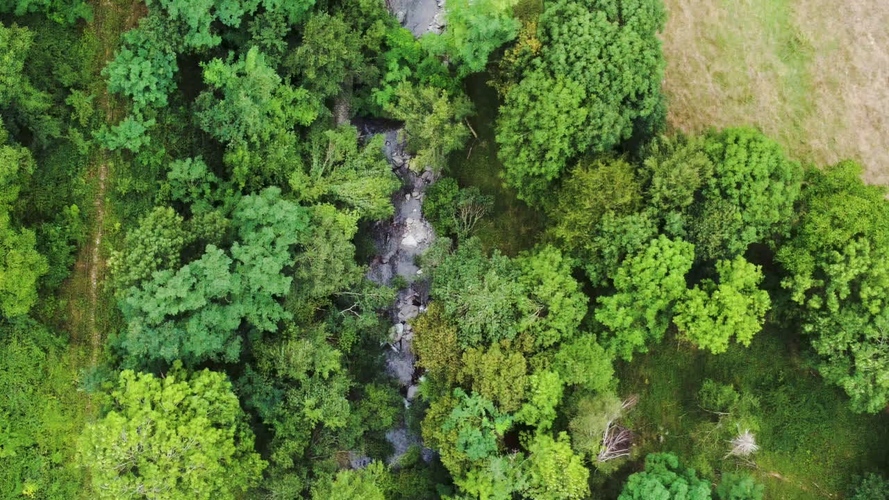 paisaje de las montañas de los pirineos vista aérea de arriba hacia abajo del bosque de árboles naturales verdes no contaminados