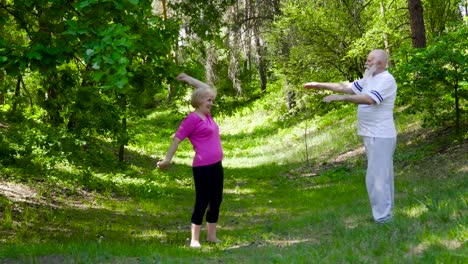 senior couple doing sport exercises in summer park