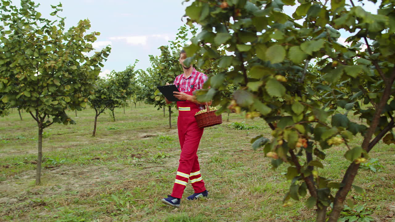 정원사, 농학자, 농부, 헤이즐을 분석하는 사람, 정원에서 나무 줄을 분석하고, 일기에 메모를 하는 사람