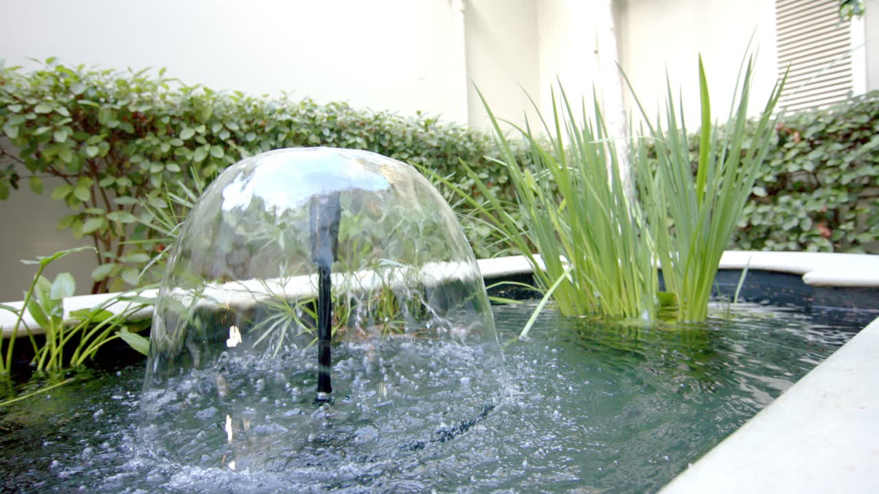Water bubbling from fountain, surrounded by lush plants