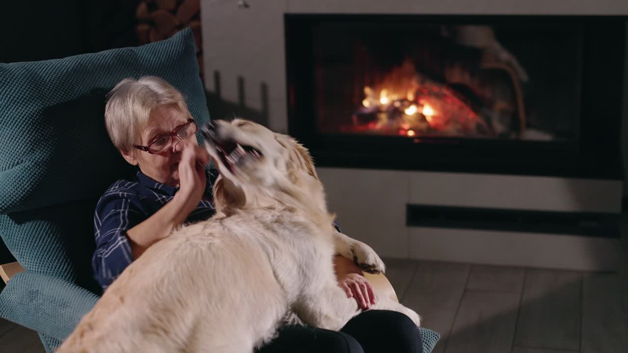 불  에 있는 고위 여성 과 그 의 개