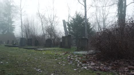 foggy cemetery