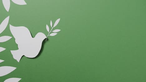 close up of white dove with leaf and copy space on green background