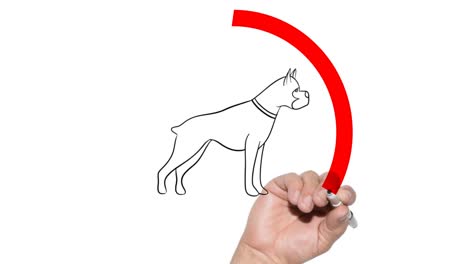 no se permiten mascotas señales dibujadas a mano detrás del vidrio